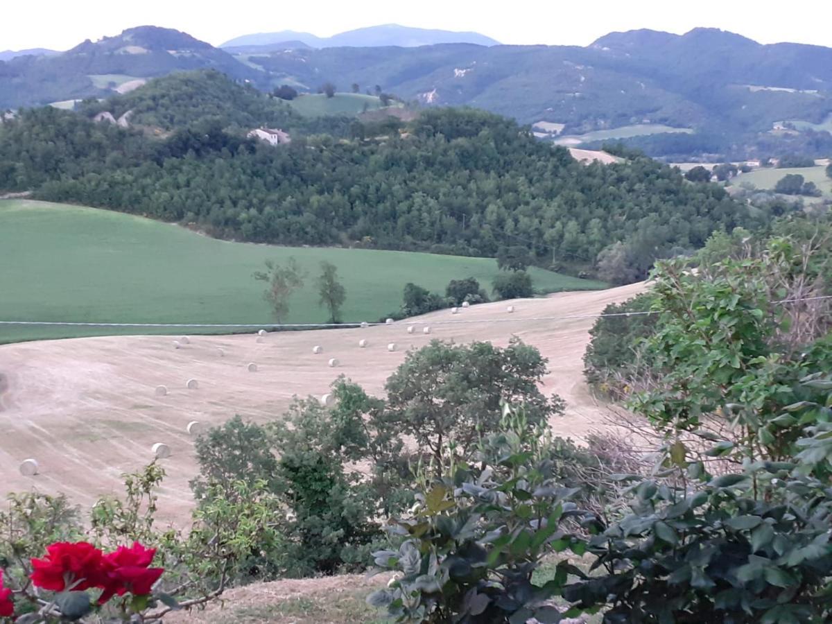 Ca' Gulino - Urbino - Villa Con Minipiscina In Borgo Antico Экстерьер фото