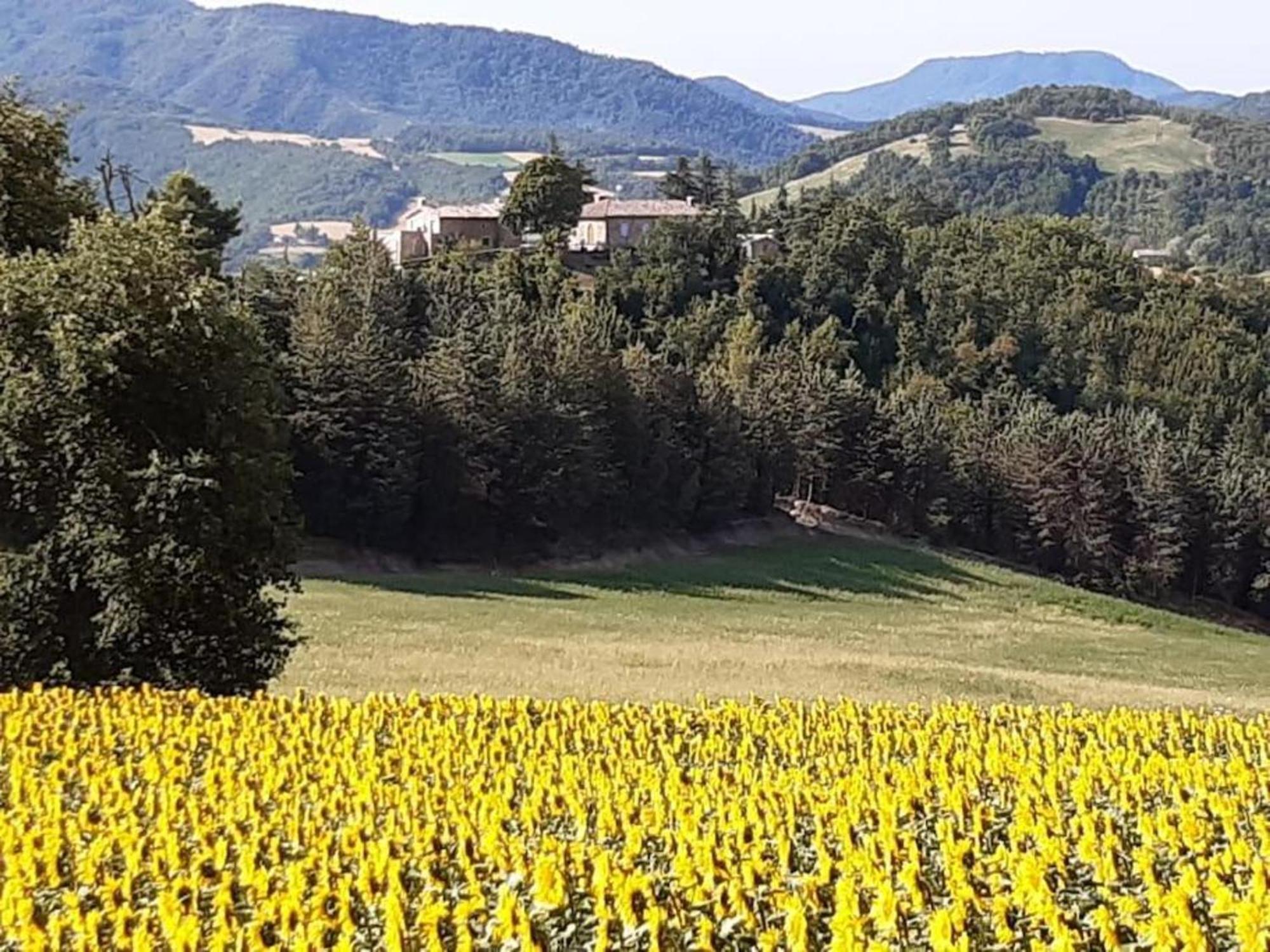 Ca' Gulino - Urbino - Villa Con Minipiscina In Borgo Antico Экстерьер фото