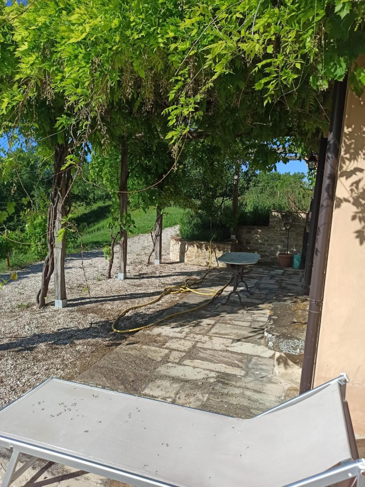 Ca' Gulino - Urbino - Villa Con Minipiscina In Borgo Antico Экстерьер фото